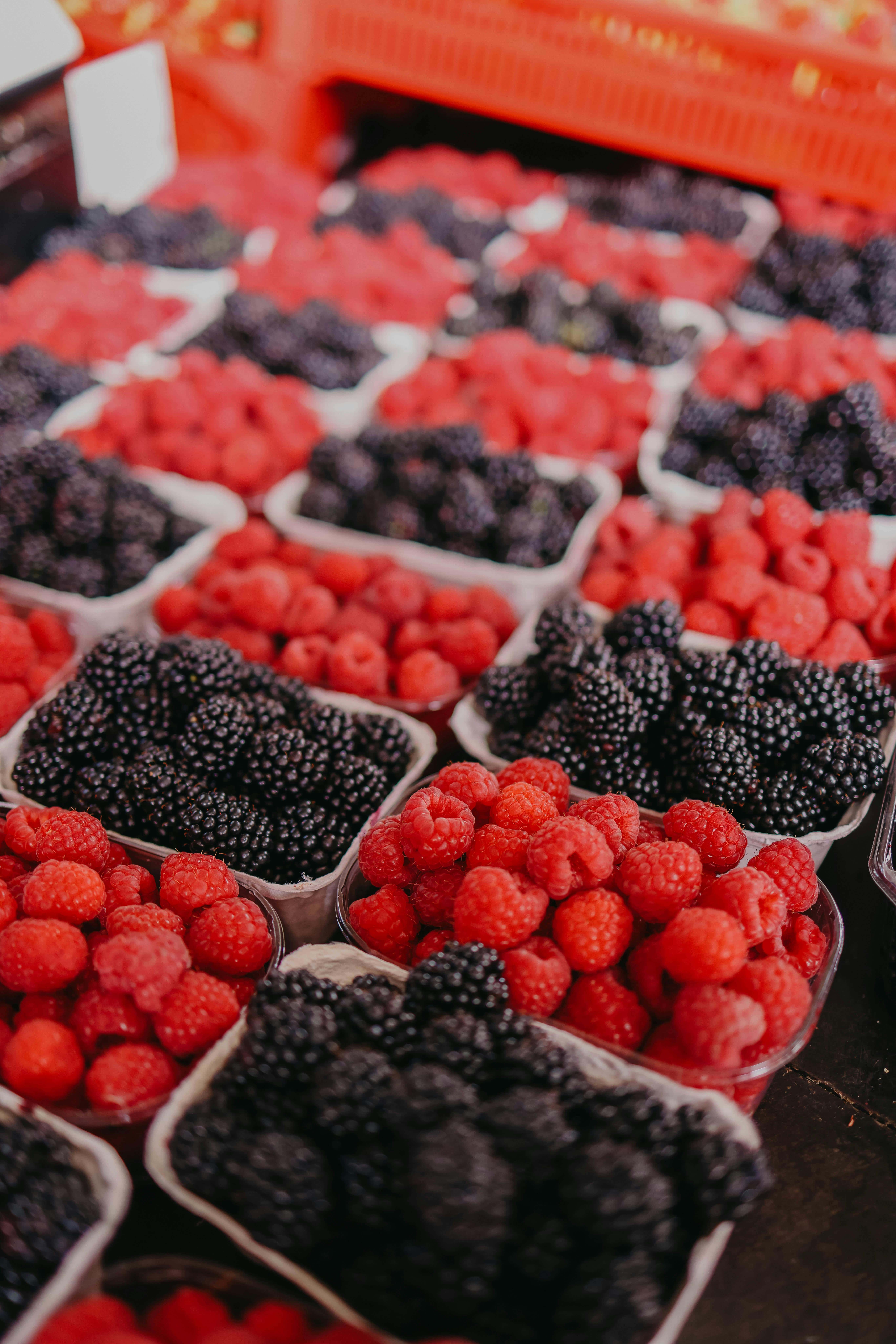 immune bossting foods