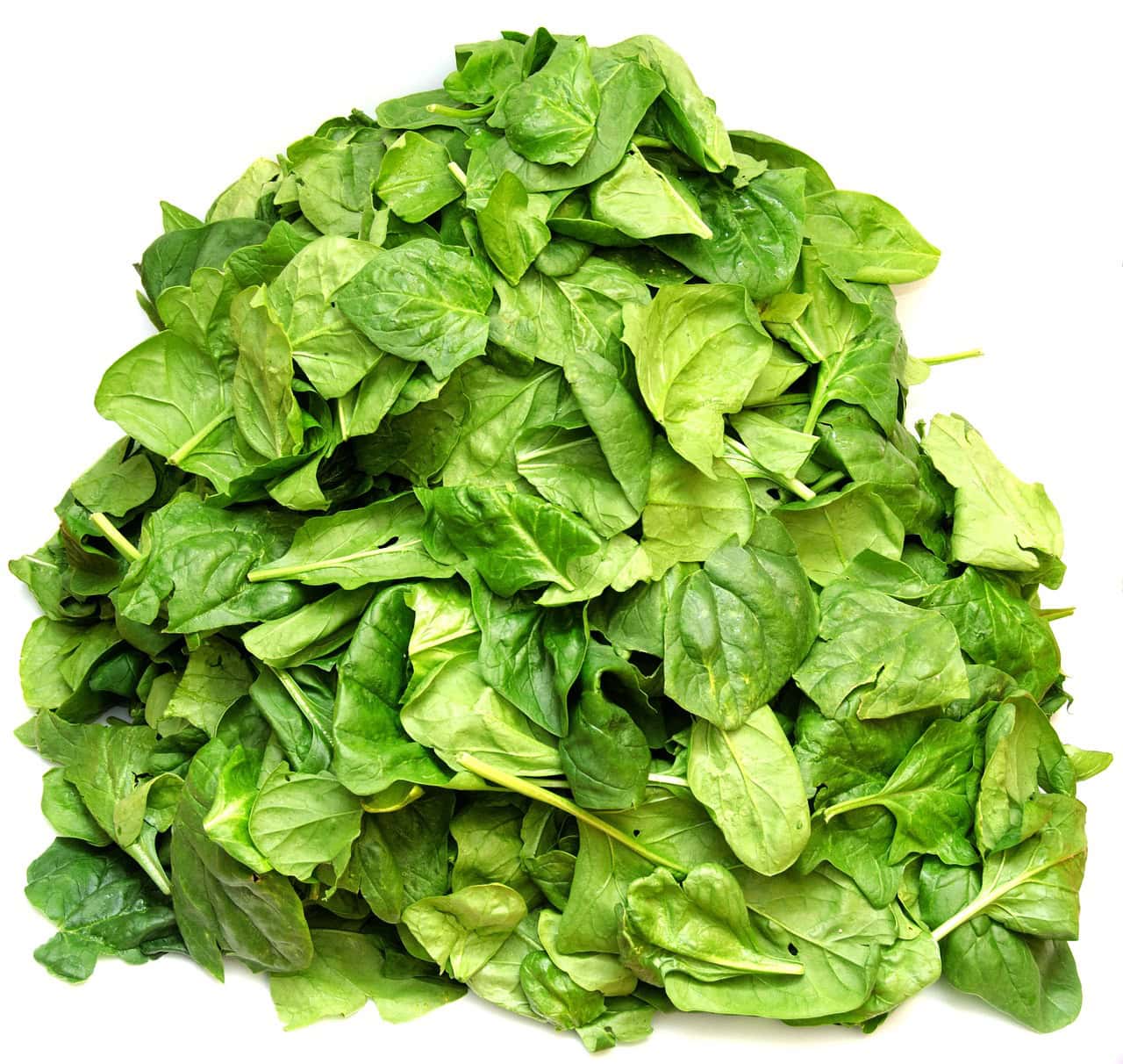 Immune boosting food